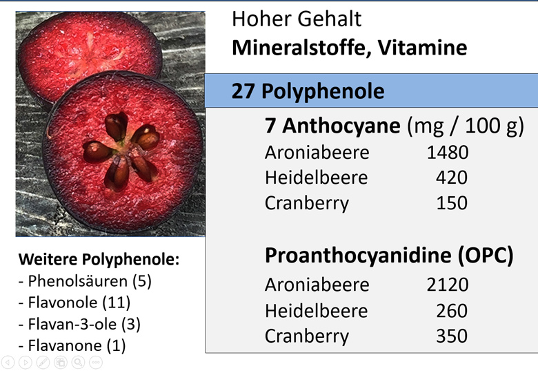 Aronia Inhaltsstoffe
