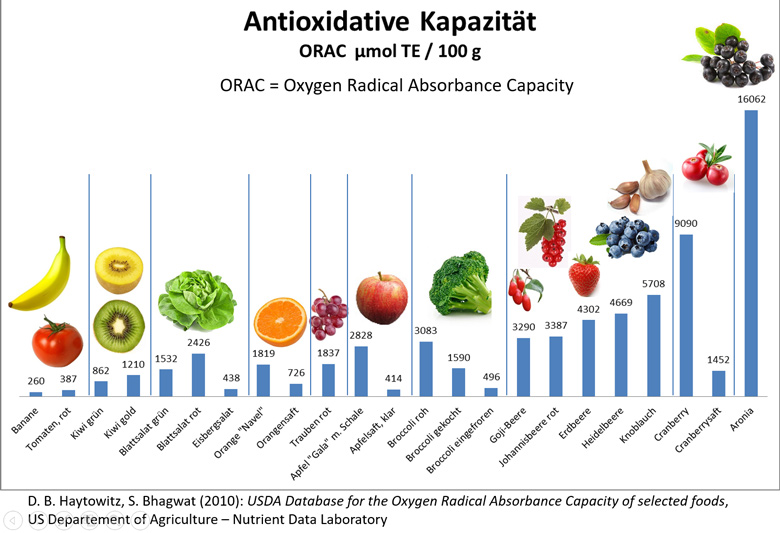 Aronia Antioxidatives Potenzial