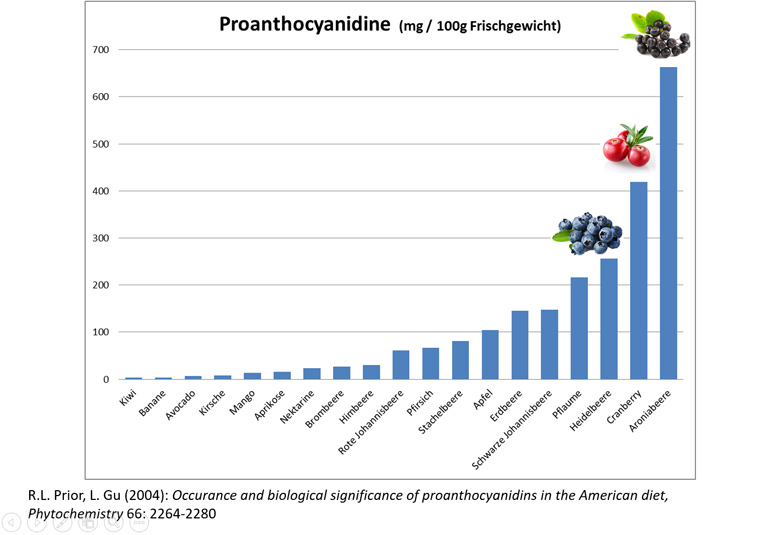 Aronia Proanthocyanidine